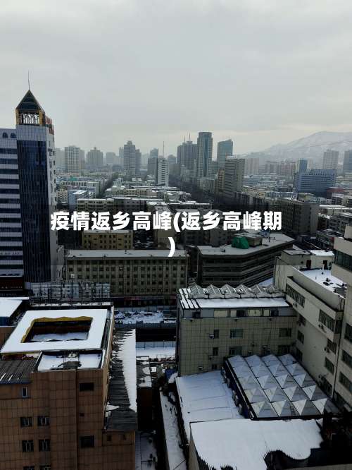 疫情返乡高峰(返乡高峰期)