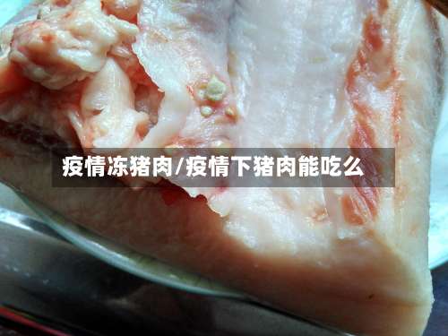 疫情冻猪肉/疫情下猪肉能吃么-第3张图片
