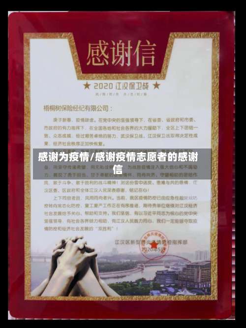 感谢为疫情/感谢疫情志愿者的感谢信-第2张图片