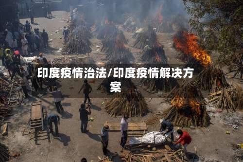 印度疫情治法/印度疫情解决方案