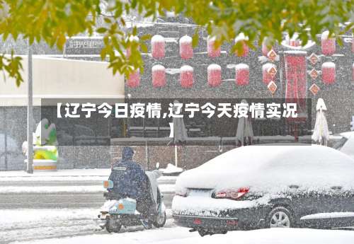 【辽宁今日疫情,辽宁今天疫情实况】-第2张图片