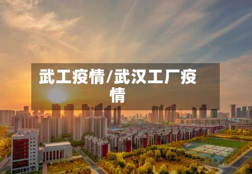 武工疫情/武汉工厂疫情-第3张图片