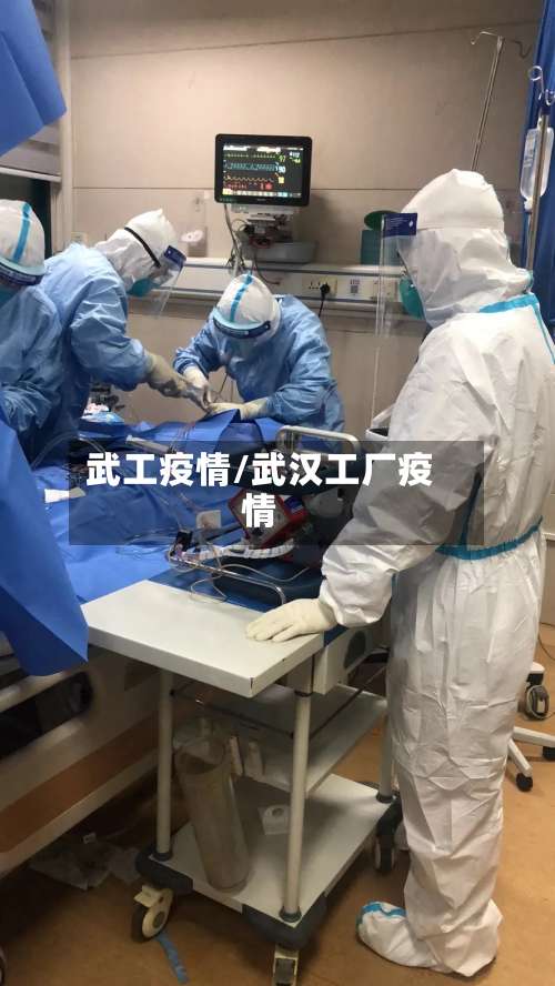 武工疫情/武汉工厂疫情
