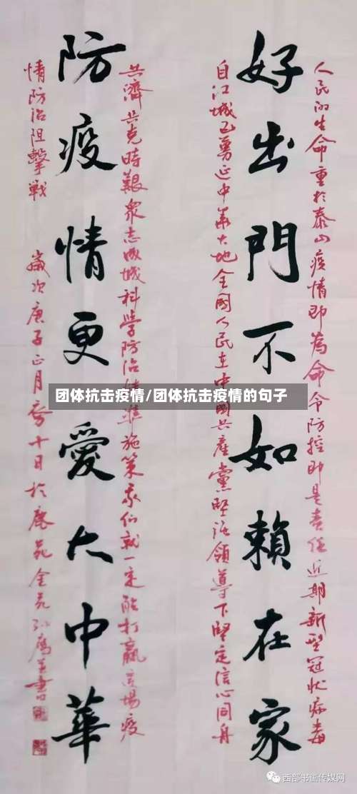团体抗击疫情/团体抗击疫情的句子