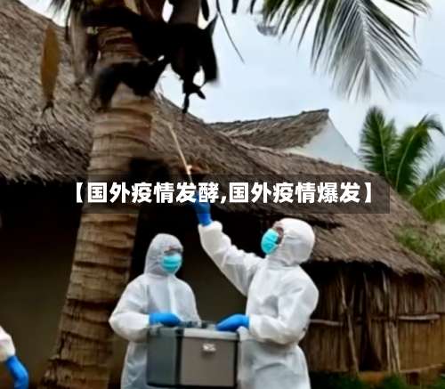 【国外疫情发酵,国外疫情爆发】-第2张图片