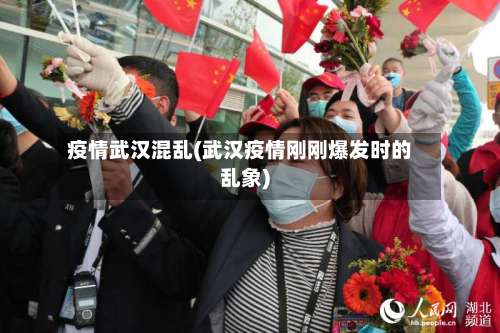 疫情武汉混乱(武汉疫情刚刚爆发时的乱象)-第2张图片