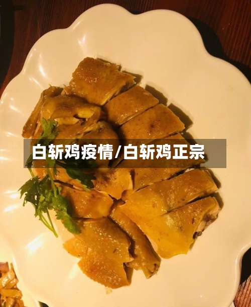 白斩鸡疫情/白斩鸡正宗