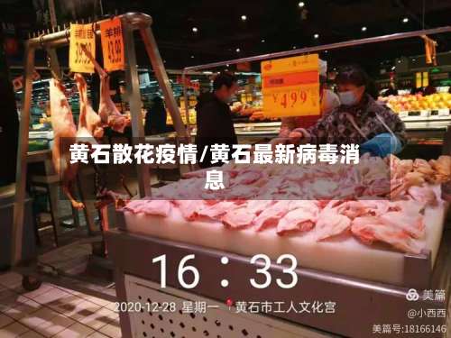 黄石散花疫情/黄石最新病毒消息-第3张图片