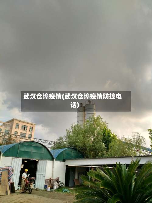 武汉仓埠疫情(武汉仓埠疫情防控电话)