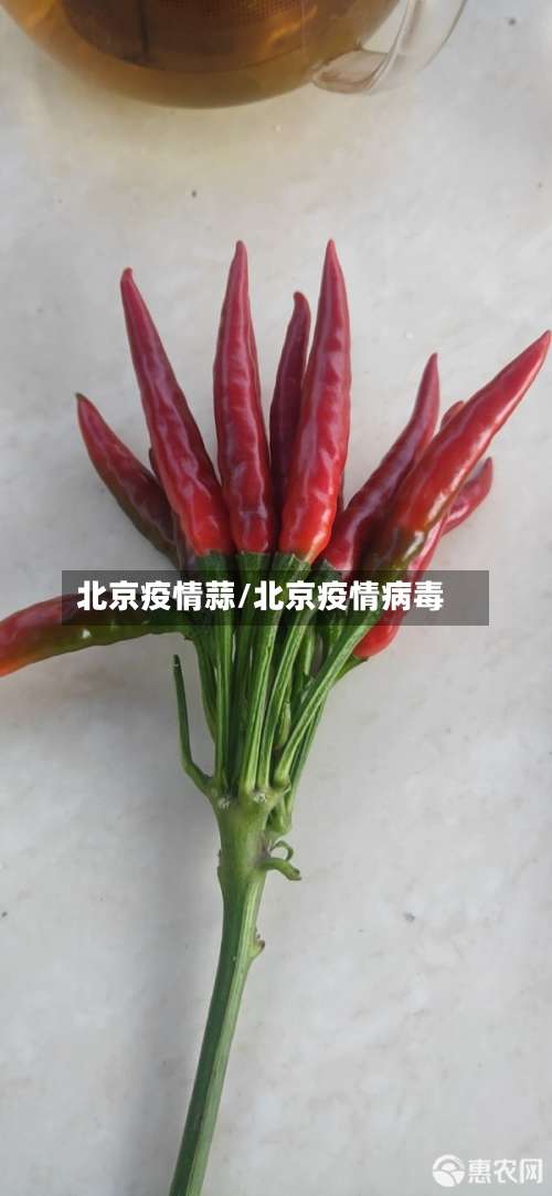 北京疫情蒜/北京疫情病毒-第2张图片