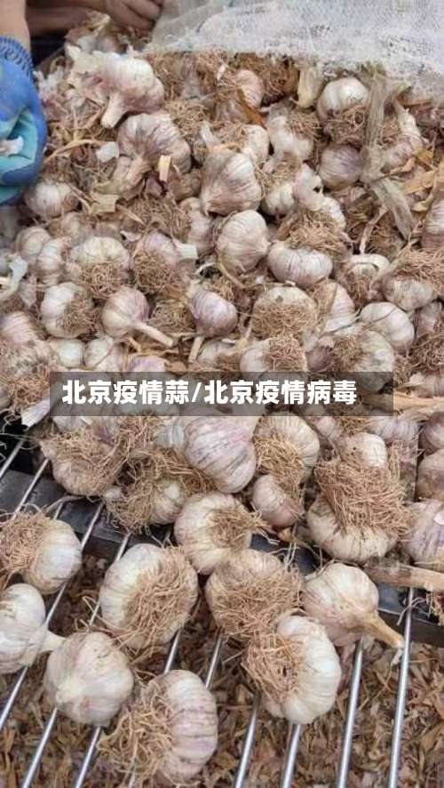 北京疫情蒜/北京疫情病毒-第3张图片