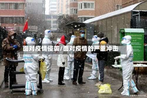 面对疫情侵袭/面对疫情的严重冲击