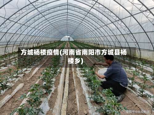 方城杨楼疫情(河南省南阳市方城县杨楼乡)