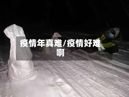 疫情年真难/疫情好难啊