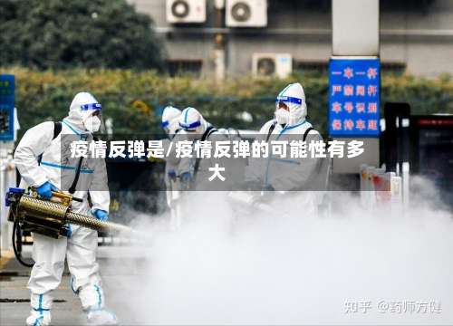 疫情反弹是/疫情反弹的可能性有多大