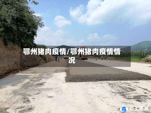 鄂州猪肉疫情/鄂州猪肉疫情情况
