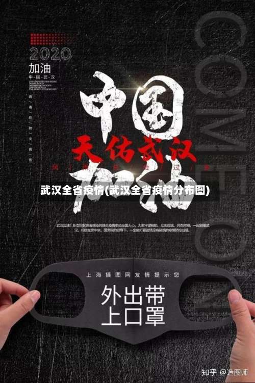 武汉全省疫情(武汉全省疫情分布图)