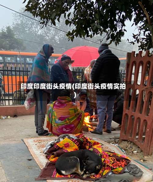 印度印度街头疫情(印度街头疫情实拍)-第3张图片