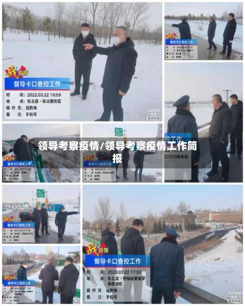 领导考察疫情/领导考察疫情工作简报