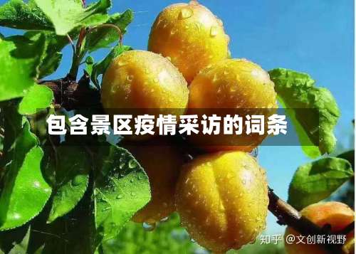 包含景区疫情采访的词条