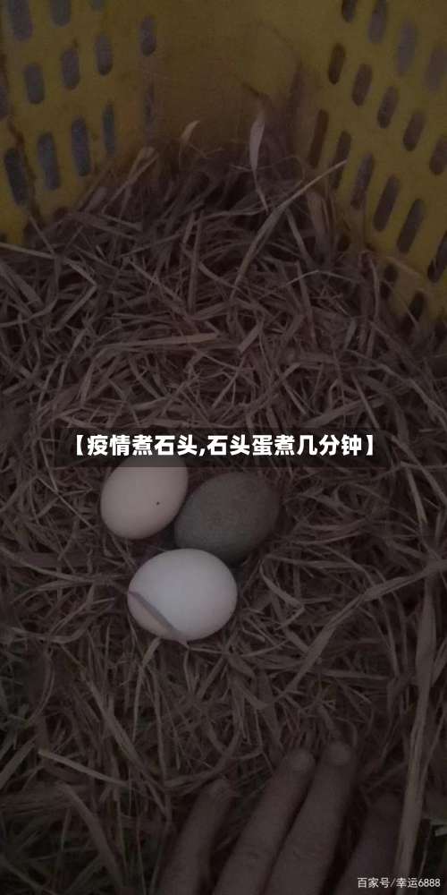 【疫情煮石头,石头蛋煮几分钟】