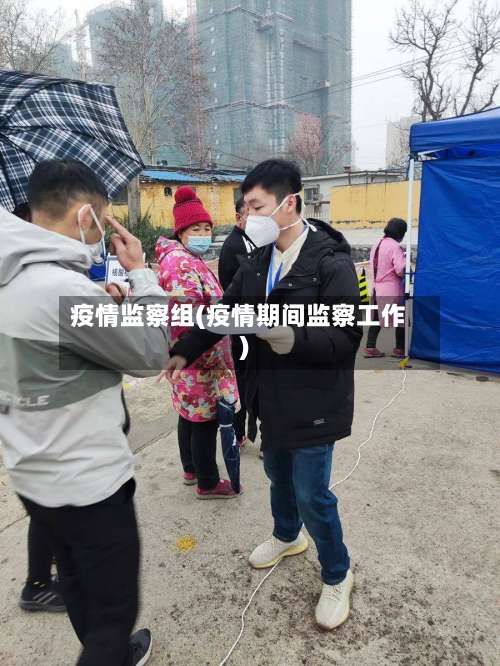 疫情监察组(疫情期间监察工作)