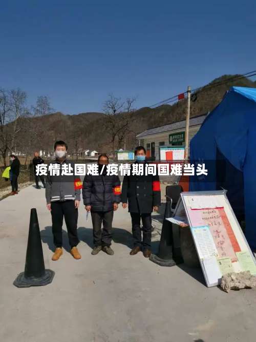 疫情赴国难/疫情期间国难当头