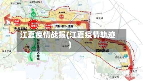 江夏疫情战报(江夏疫情轨迹)-第3张图片