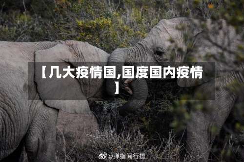 【几大疫情国,国度国内疫情】-第3张图片