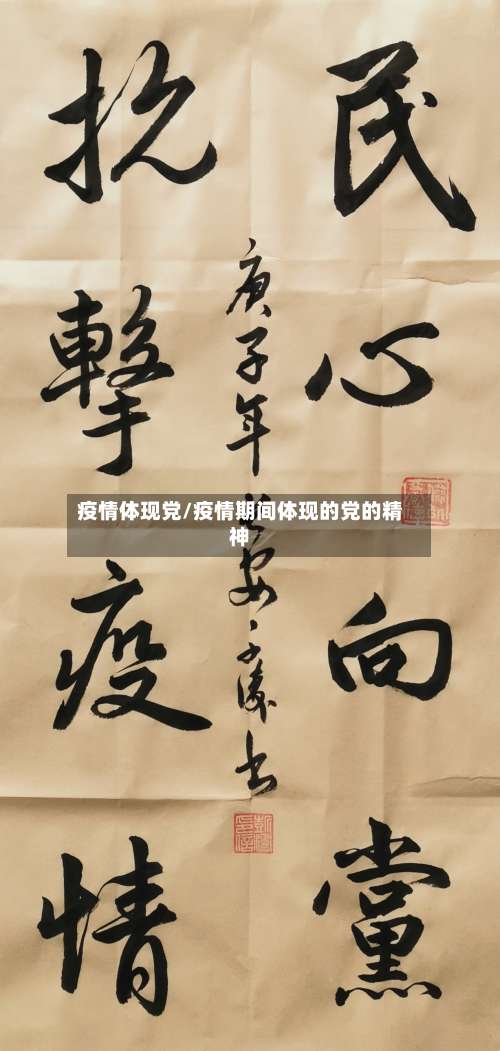 疫情体现党/疫情期间体现的党的精神