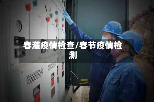 春灌疫情检查/春节疫情检测-第3张图片