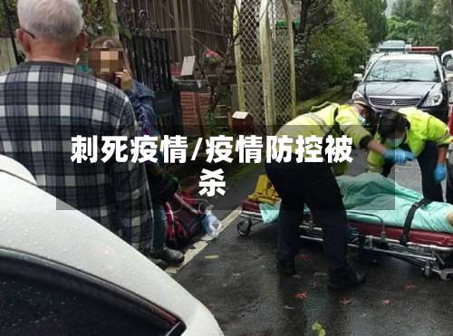 刺死疫情/疫情防控被杀