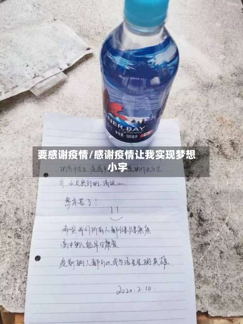 要感谢疫情/感谢疫情让我实现梦想 小宇