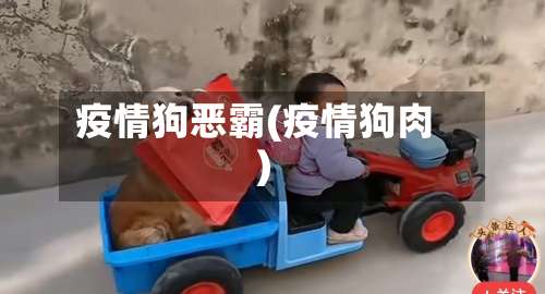 疫情狗恶霸(疫情狗肉)-第2张图片