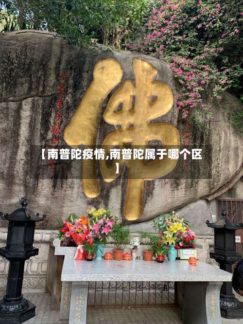 【南普陀疫情,南普陀属于哪个区】