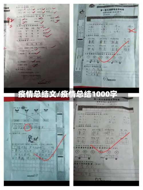 疫情总结文/疫情总结1000字-第3张图片