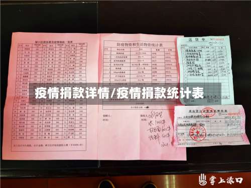 疫情捐款详情/疫情捐款统计表