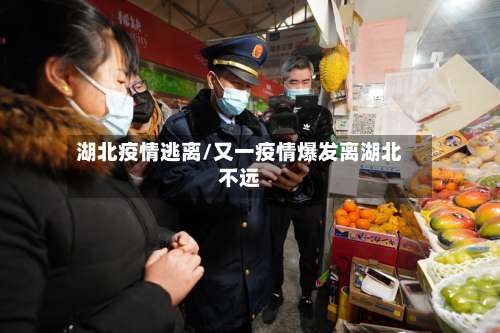 湖北疫情逃离/又一疫情爆发离湖北不远
