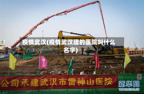 疫情武汉(疫情武汉建的医院叫什么名字)-第2张图片