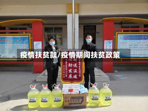 疫情扶贫款/疫情期间扶贫政策