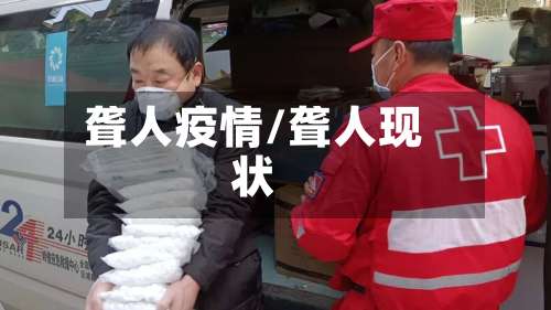 聋人疫情/聋人现状-第3张图片