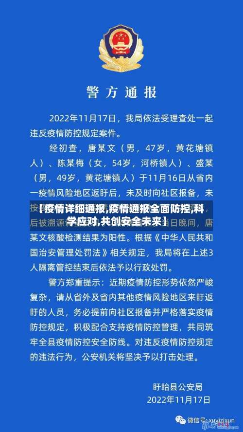 【疫情详细通报,疫情通报全面防控,科学应对,共创安全未来】