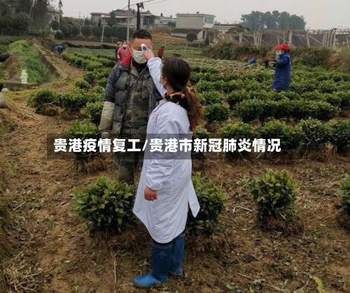 贵港疫情复工/贵港市新冠肺炎情况-第3张图片