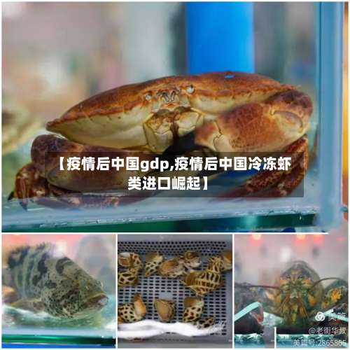 【疫情后中国gdp,疫情后中国冷冻虾类进口崛起】-第3张图片