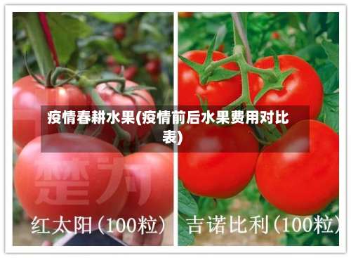 疫情春耕水果(疫情前后水果费用对比表)-第3张图片