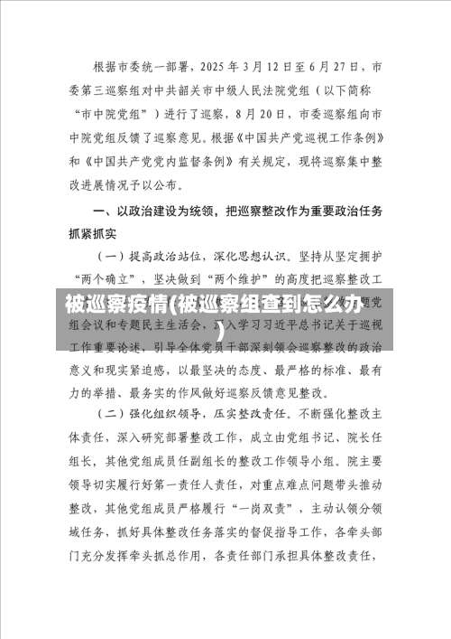 被巡察疫情(被巡察组查到怎么办)
