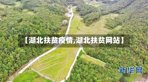 【湖北扶贫疫情,湖北扶贫网站】-第2张图片