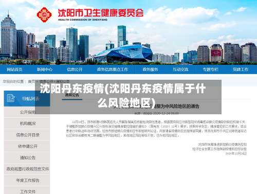 沈阳丹东疫情(沈阳丹东疫情属于什么风险地区)-第2张图片