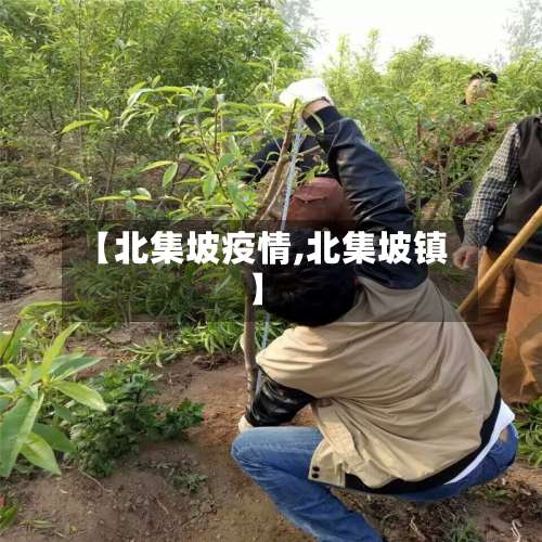 【北集坡疫情,北集坡镇】-第2张图片
