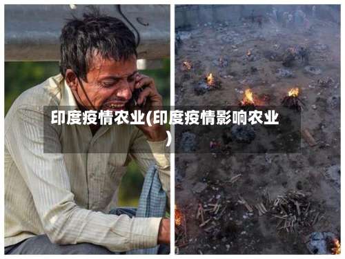 印度疫情农业(印度疫情影响农业)-第2张图片